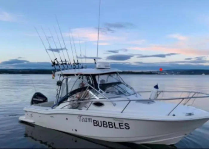 Northcape Nature Rorbuer - 4 - Balcony North Feriehus *